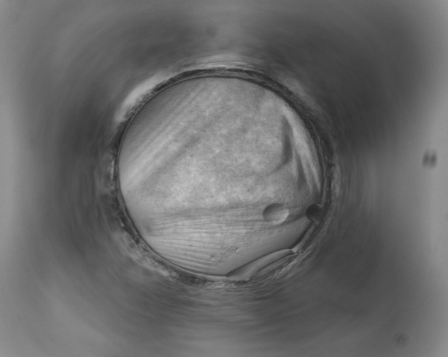 X0000114531358200911091101