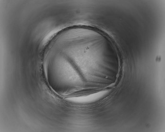 X0000114531359200911091101