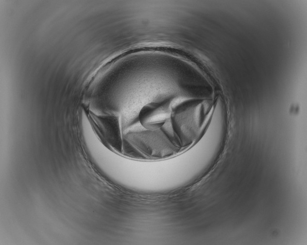 X0000114531361200911091101