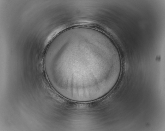 X0000114531362200911091101