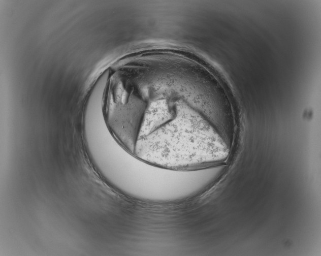 X0000114531365200911091101