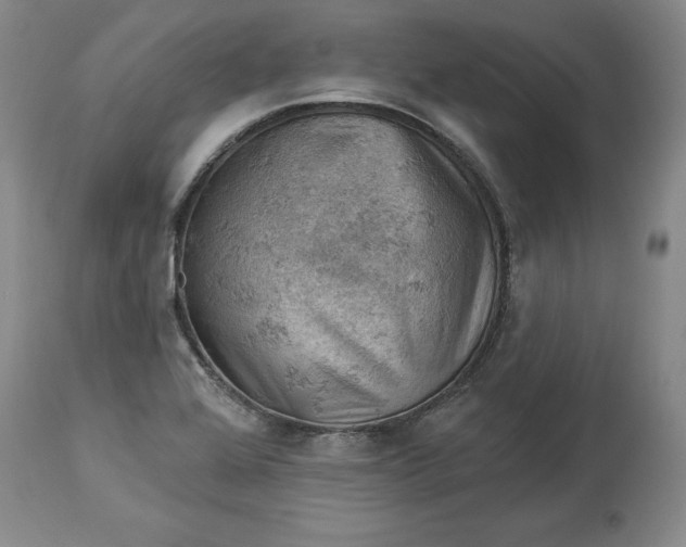 X0000114531368200911091101