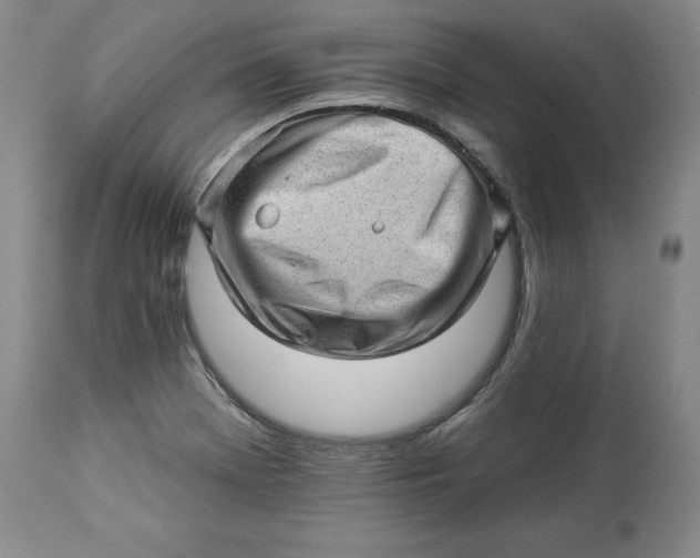 X0000114531369200911091101