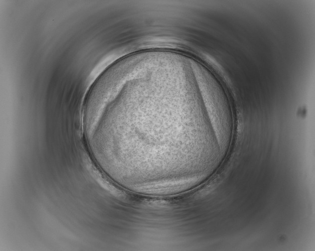 X0000114531370200911091101