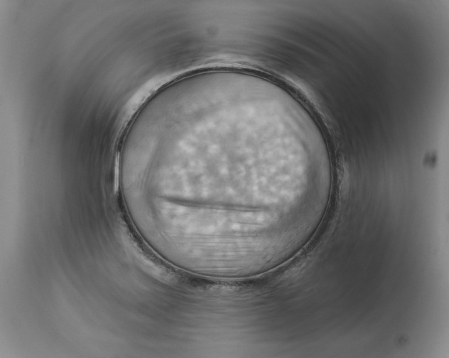 X0000114531371200911091101