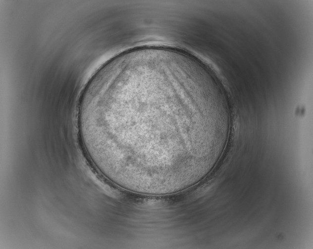 X0000114531375200911091101