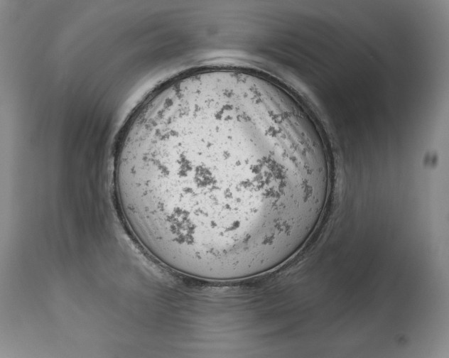 X0000114531376200911091101
