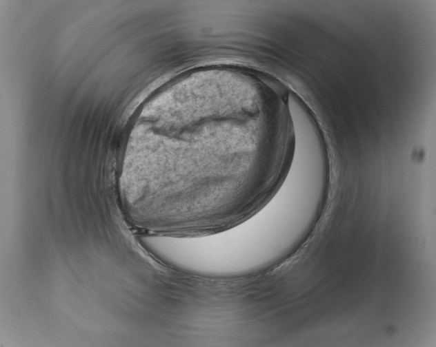 X0000114531377200911091101