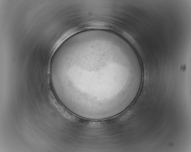 X0000114531378200911091101