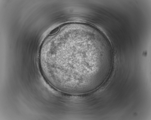 X0000114531379200911091101
