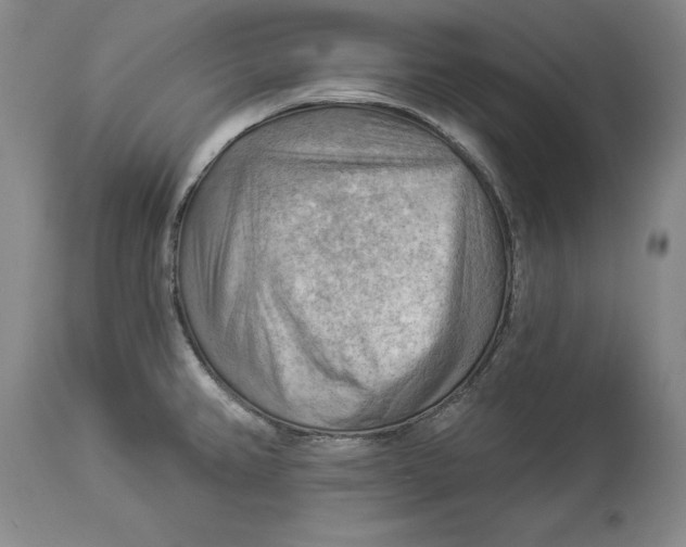 X0000114531382200911091101