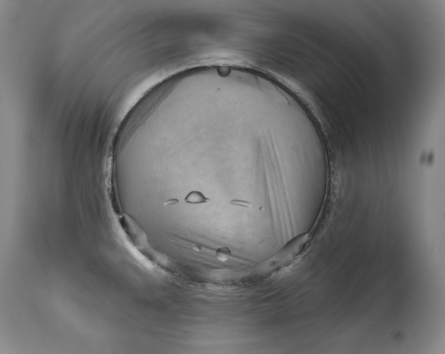 X0000114531383200911091101