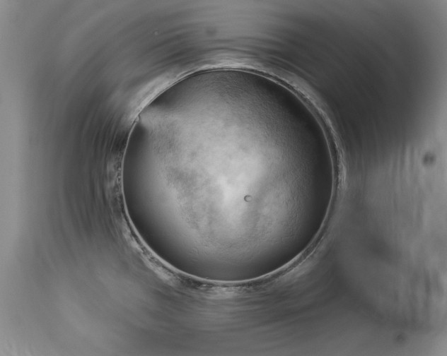 X0000114531385200911091101