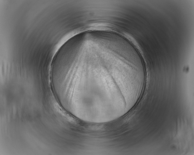 X0000114531386200911091101