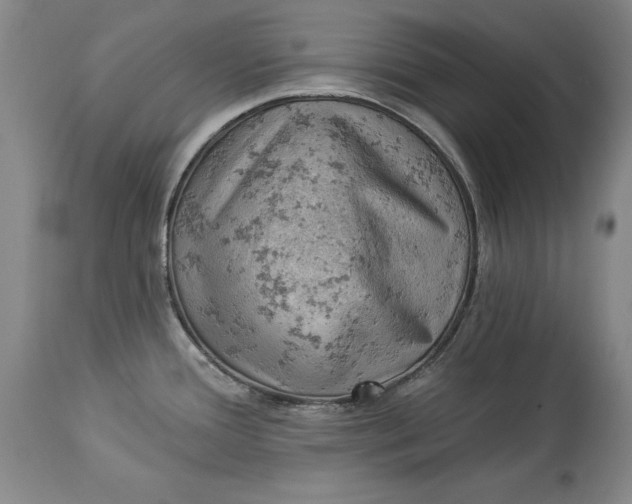 X0000114531388200911091101