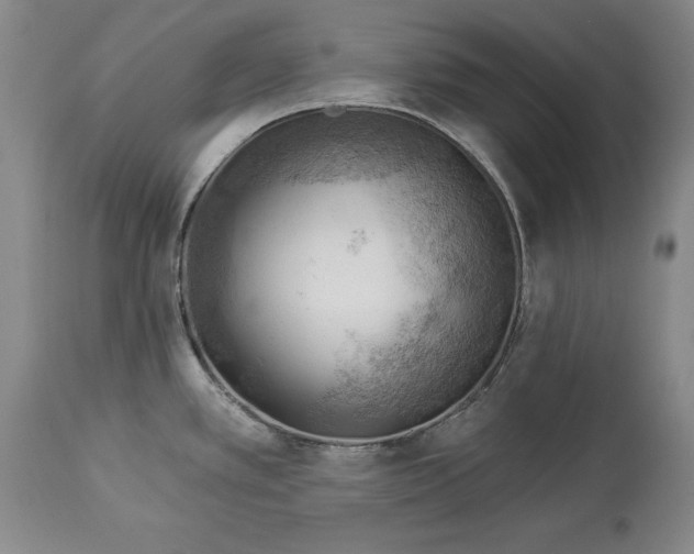 X0000114531389200911091101