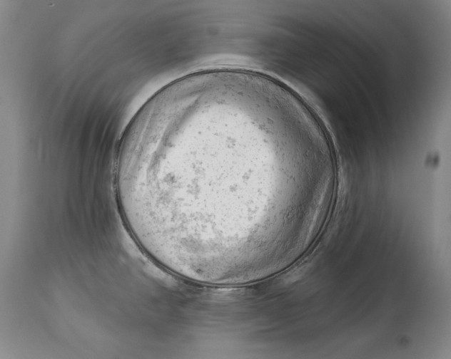 X0000114531390200911091101