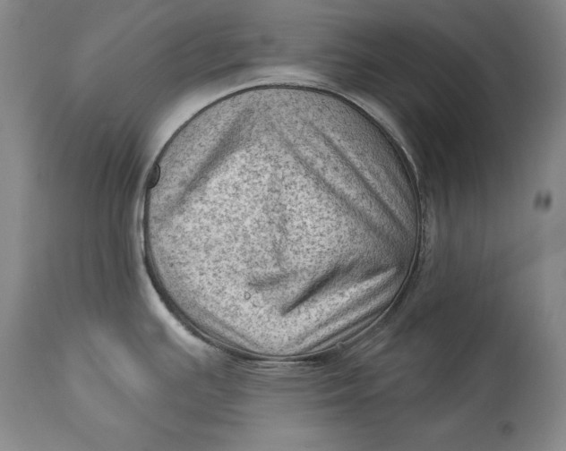 X0000114531391200911091101