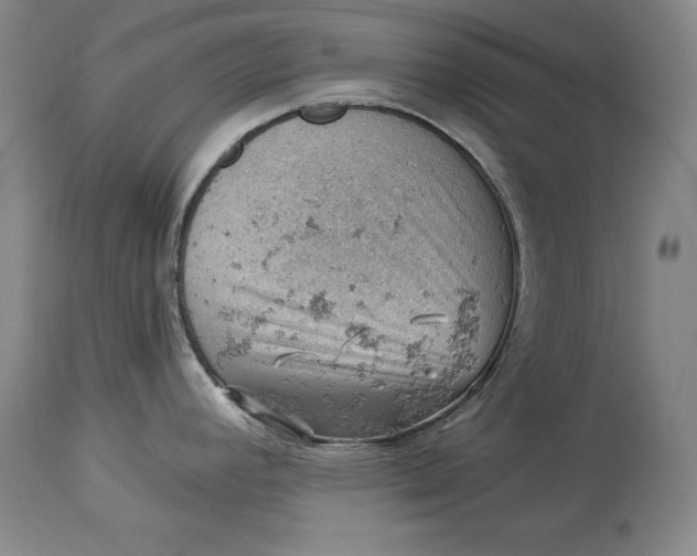 X0000114531392200911091101