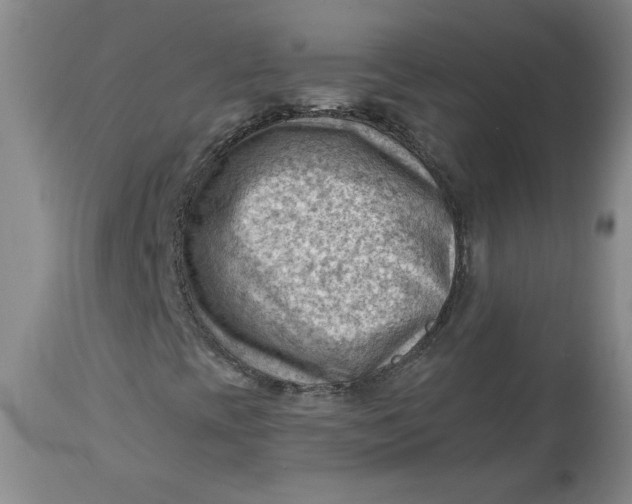 X0000114531393200911091100