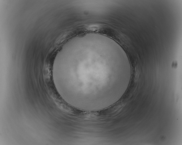 X0000114531394200911091100
