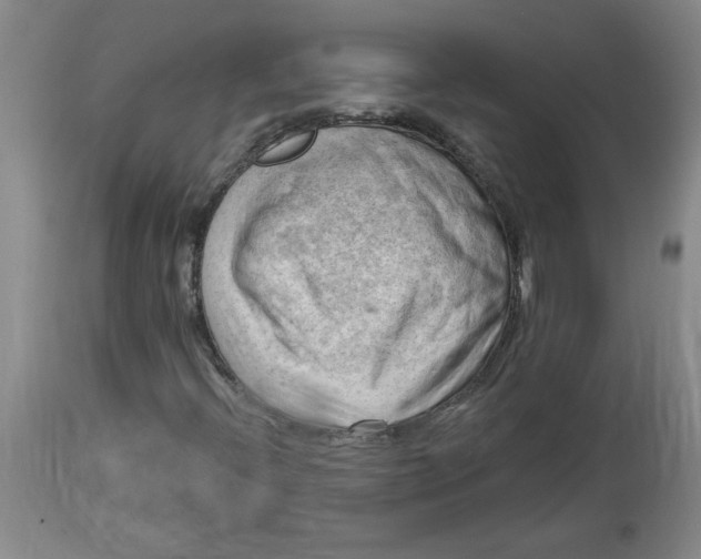 X0000114531396200911091100