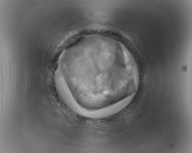 X0000114531397200911091100