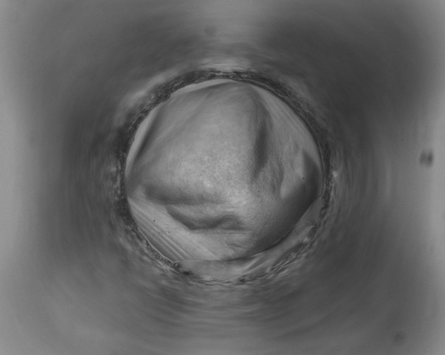 X0000114531398200911091100