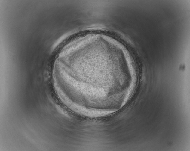 X0000114531400200911091100