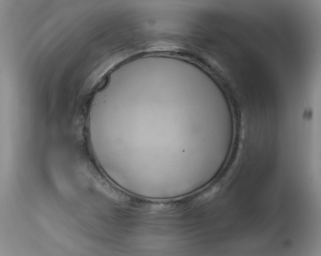 X0000114531401200911091100
