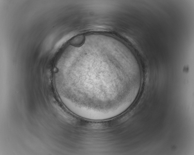 X0000114531402200911091100
