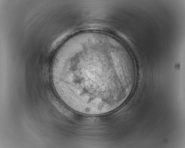X0000114531403200911091100