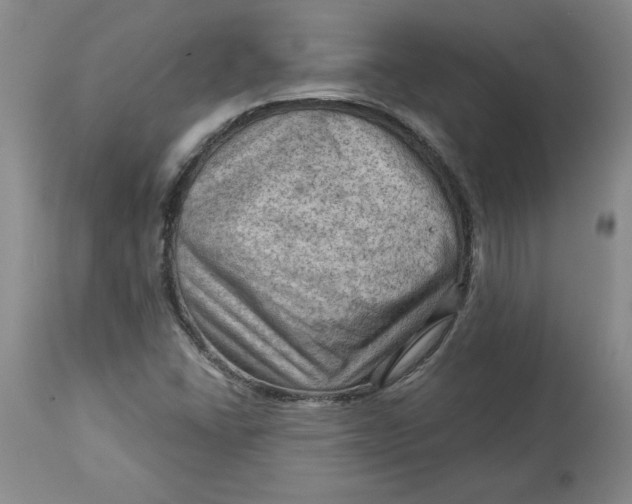 X0000114531406200911091100
