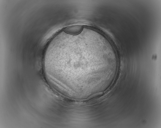 X0000114531407200911091100