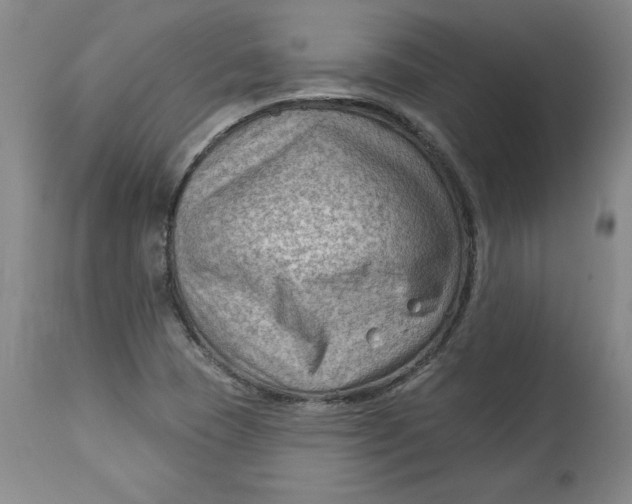 X0000114531409200911091100