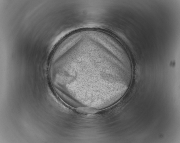 X0000114531412200911091100