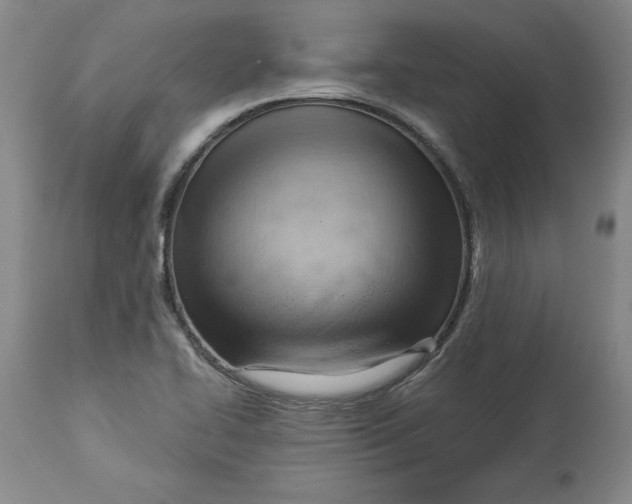 X0000114531414200911091100