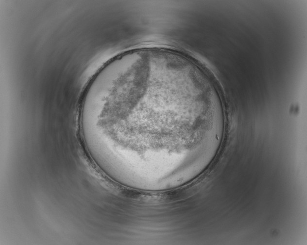 X0000114531415200911091100