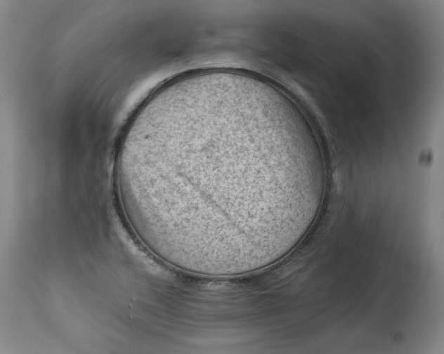 X0000114531416200911091100