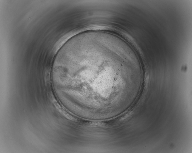X0000114531417200911091101