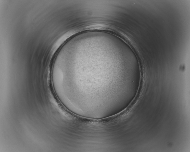 X0000114531418200911091101