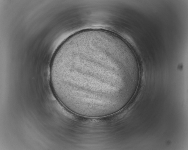 X0000114531420200911091101