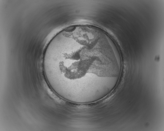 X0000114531421200911091101