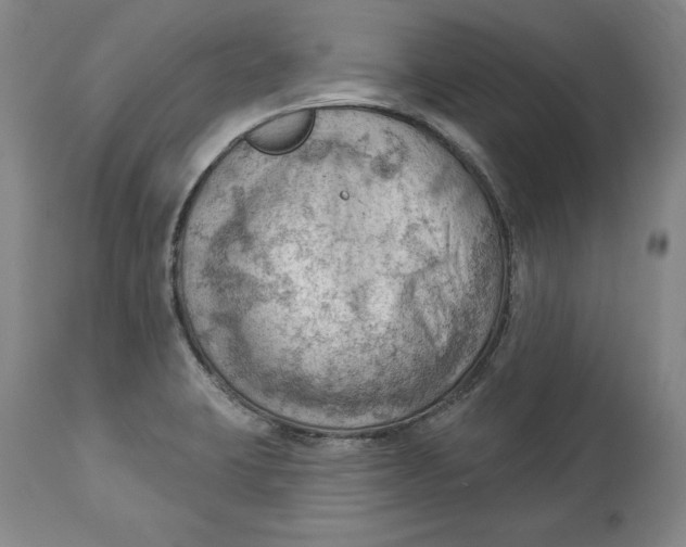 X0000114531423200911091101