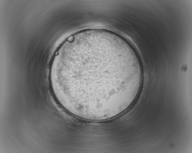 X0000114531424200911091101