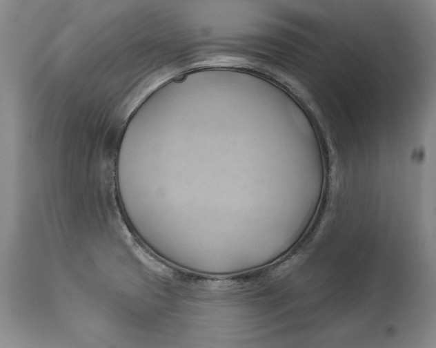 X0000114531425200911091101