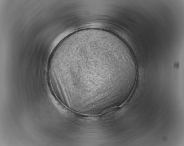X0000114531426200911091101