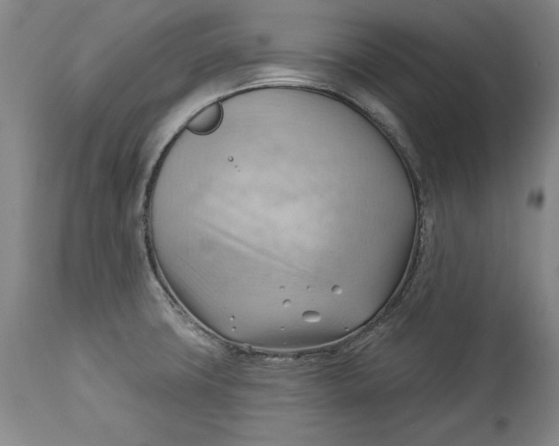 X0000114531427200911091101