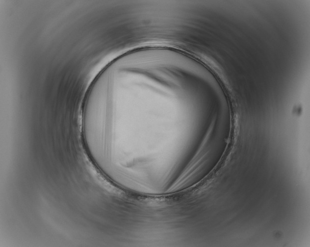 X0000114531428200911091101