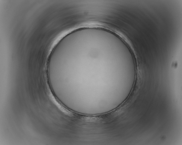X0000114531429200911091101